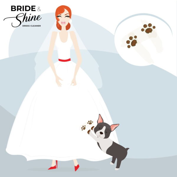 Bride & Shine Dress Cleaner - Afbeelding 4